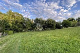 Grundstück zu kaufen in 71144 Steinenbronn, Steinenbronn - VIELSEITIGES ANWESEN IDEEN OHNE GRENZEN