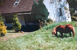 Haus kaufen in 57567 Daaden, Daaden - Haus Immobilie Wohnhaus