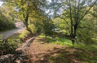 Haus kaufen in 97953 Königheim, Königheim - Wochenendhaus in Kleinochsenfurt