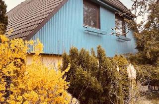 Einfamilienhaus kaufen in 15370 Fredersdorf-Vogelsdorf, Fredersdorf-Vogelsdorf - Tolles freistehendes Einfamilienhaus, in guter Lage