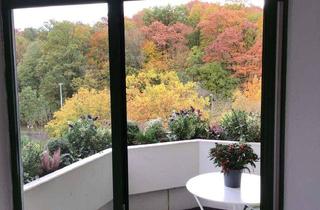 Wohnung kaufen in 64289 Kranichstein, Attraktive 2 ZW in einem gepflegte MFH mit Balkon, TG