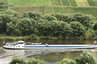 Wohnung mieten in Schulstraße 49, 56861 Reil, Helle 4-Zimmer in Reil mit Moselblick und Freisitz ab 01.04.2026 frei