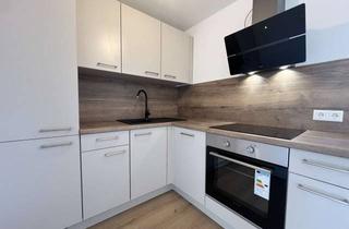 Wohnung mieten in Breslauer Straße 12, 04299 Stötteritz, ✨ Neu! - Charmantes Single-Apartment im idyllischen Hinterhaus in Stötteritz