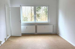 Wohnung mieten in Keplerstraße 10, 19063 Mueßer Holz, Helle und gemütliche Einzimmerwohnung in Schwerin