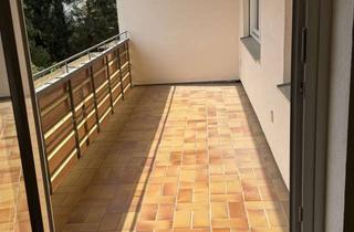 Wohnung mieten in Am Salgenteich 13b, 38259 Bad, großzügige 3 Zimmer Wohnung mit neuem Badezimmer