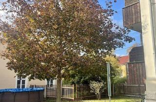 Wohnung mieten in Moritzburger Straße 89, 01445 Radebeul, Ein Blick zum verlieben-Wohnung in Radebeul