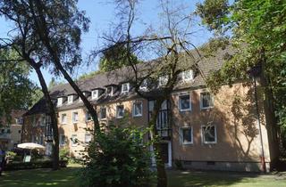 Wohnung mieten in 45896 Scholven, Nienkampstraße 8 - großzügige 1 ZKB Wohnung im EG *ab sofort* zu vermieten