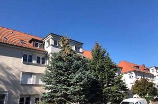 Wohnung mieten in Gartenstraße 14, 01662 Meißen, Frisch sanierte Wohnung im Dachgeschoss!