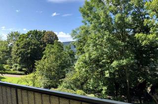 Wohnung mieten in Frankenstraße 13, 53175 Friesdorf, Helle 1-Raum-Wohnung mit Aussicht ins Grüne und Einbauküche