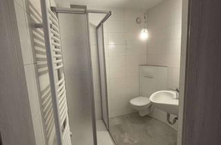 Wohnung mieten in Harthaer Straße 19, 04720 Döbeln, 2-Zimmer in Döbeln mit EBK+Carport Erstbezug nach Modernisierung