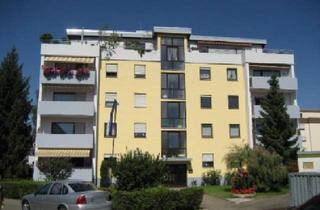 Wohnung mieten in 68782 Brühl, 3-Zimmer Wohnung in Brühl-Rohrhof mit Einbauküche, Balkon und Garage