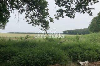 Grundstück zu kaufen in 15732 Schulzendorf, Preisreduzierung - 19700 m² - Kapitalanlage m² - Preis 8,63 €