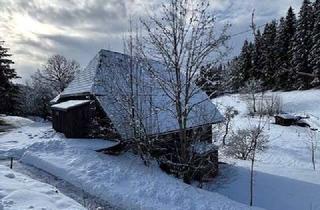 Bauernhaus mieten in Langengrund, 78148 Gütenbach, Großzügiges Bauernhaus mit Garage in Gütenbach