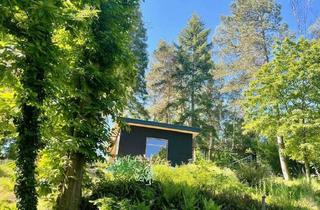 Haus mieten in Engeweg, 67157 Wachenheim, ***REMOTE LIVE & WORKSPACE mit Blick auf das „Kaffeemühlchen***