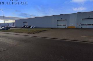 Gewerbeimmobilie mieten in Pappelweg 2, 39288 Burg, Moderne Lager-Industriehallen vor den Toren der Landeshauptstadt Magdeburg !