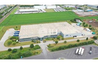 Gewerbeimmobilie mieten in 39171 Sülzetal, Halle für Produktion & Lager I Cross-Dock I sofort mieten