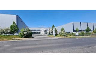 Gewerbeimmobilie mieten in 41516 Grevenbroich, Logistik | 24/7 | Rampen | 11,50 UKB