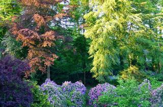 Anlageobjekt in 22605 Othmarschen, Kapitalanlage Großzügiges Penthouse in Hamburg-Othmarschen – Nähe Jenischpark zur Elbe zum Verkauf