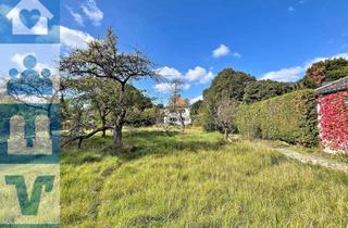 Grundstück zu kaufen in 82031 Grünwald, Grünwald: Grundstück mit Altbestand in begehrter Lage