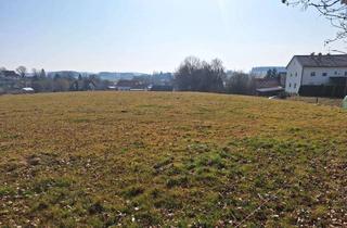 Grundstück zu kaufen in 84137 Vilsbiburg, Landwirtschaftliche Fläche mit vielen Möglichkeiten.