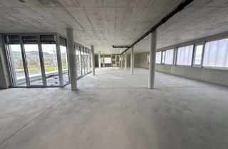 Büro zu mieten in 78247 Hilzingen, Beeindruckende, moderne Büroetage im Neubau nach Absprache zu vermieten.