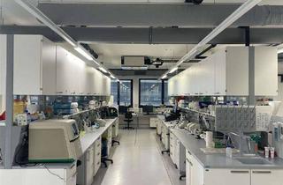 Büro zu mieten in Semmelweisstraße, 82152 Planegg, Hochwertig ausgestattete Labor- Bürokombination in Planegg, Steinkirchen