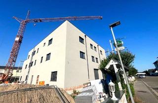 Büro zu mieten in 68753 Waghäusel, 7393 - Neubau-Erstbezug! Flexibel gestaltbare Büroetage in Kirrlach!