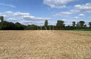 Immobilie kaufen in 41515 Grevenbroich, Ackerlandparzelle in Grevenbroich