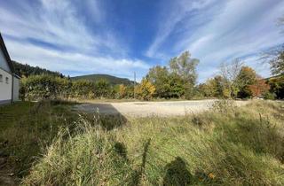 Gewerbeimmobilie kaufen in 72270 Baiersbronn, Exklusives Gewerbegrundstück in Klosterreichenbach