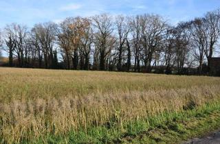 Gewerbeimmobilie kaufen in 41334 Nettetal, Verpachtete Ackerfläche mit 13.620 m² in 41334 Nettetal-Leuth