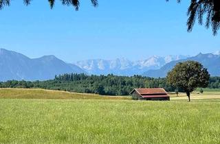 Gewerbeimmobilie kaufen in 82447 Spatzenhausen, Nähe Murnau - landwirtschaftliches Grundstück mit Baumbestand mit freiem Blick über Felder und Berge