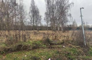 Gewerbeimmobilie kaufen in 31867 Lauenau, 14.000 m2 Gewerbegrundstück mit Mieteinnahmen