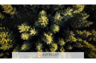 Gewerbeimmobilie kaufen in 85305 Jetzendorf, A U F R E C H T °0,72 ha Waldfläche° in der Gmd. Jetzendorf - weitere Flächen verfügbar