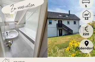 Wohnung mieten in 31020 Salzhemmendorf, **Gemütliche 1Zi-Whg modern renoviert in Oldendorf zu vermieten**