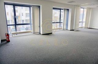 Gewerbeimmobilie mieten in 63128 Dietzenbach, CALEO ¦ Dietzenbach ¦ 278 m² - 584 m² ¦ ab EUR 10,50/m² ¦ PROVISIONSFREI