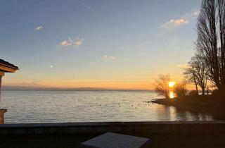 Wohnung kaufen in Eckenerstraße 54, 88045 Friedrichshafen, ***Verkaufsstart*** Wohnen auf einem Seegrundstück in herrlicher Wohnlage