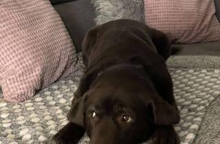 Wohnung mieten in 68305 Gartenstadt, Eine außergewöhnliche Wohnung zum Verlieben! Ich heiße Sie ❤️lich Willkommen