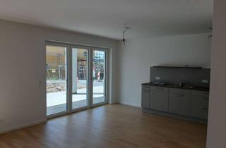 Wohnung mieten in Professor-Mangold-Weg, 74360 Ilsfeld, Moderne hochwertige 2-Zimmer Einliegerwohnung, Einbauküche, Terrasse