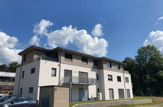 Wohnung mieten in Im Laurentiusgarten, 56249 Herschbach, Moderne 2,5-Zimmer Wohnung mit Dachterrasse im KfW40 Haus (langfristig niedrige Nebenkosten)