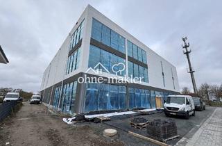 Büro zu mieten in 18055 Rostock, 500-3.000m²-Handel/ Büro/Lager/Produktion-HRO-Brinckmansdorf