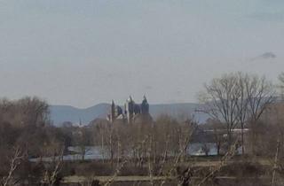 Haus mieten in Hauptstrasse 48, 68804 Altlußheim, Einfamilienhaus in Bester Lage mit Blick auf den Dom zu Speyer und Rheinauen