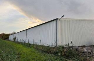 Gewerbeimmobilie mieten in Im Niedernfeld, 31542 Bad Nenndorf, Lagerhalle 275m2 Bad Nenndorf 3Min zur Autobahn