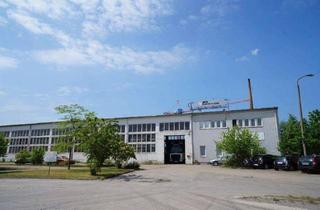 Grundstück zu kaufen in 19061 Schwerin, Gewerbe-/ Industriegrundstück mit über 6.000 qm Hallenfläche in der Landeshauptstadt Schwerin