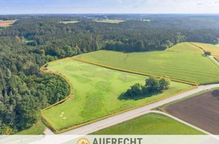 Gewerbeimmobilie kaufen in 85305 Jetzendorf, A U F R E C H T °2,87 ha LNF° in der Gmd. Pfaffenhofen - weitere Flächen verfügbar