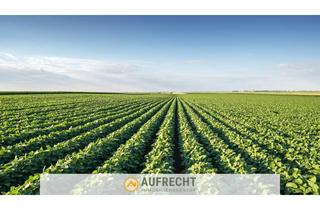 Gewerbeimmobilie kaufen in 85305 Jetzendorf, A U F R E C H T °0,85 ha LNF° in der Gmd. Jetzendorf - weitere Flächen verfügbar