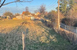 Gewerbeimmobilie kaufen in Wilhelmshöhe, 38820 Halberstadt, Grundstück für Landwirtschaft in Langenstein zum Kauf!