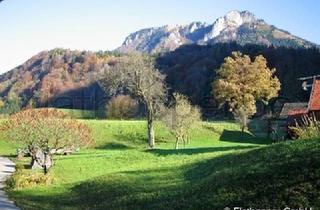 Bauernhaus mieten in 83131 Nußdorf, TOP! Historisches Bauernhaus in Nussdorf - nahe Rosenheim