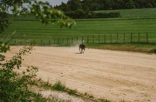 Immobilie kaufen in 93161 Sinzing, THE RANCH