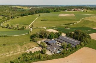 Immobilie kaufen in 93161 Sinzing, THE RANCH