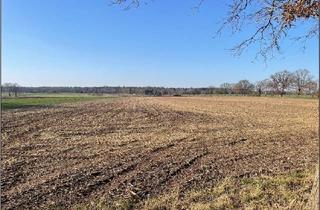 in 31606 Warmsen, Verpachtung! Rd 1,6 ha Acker (landwirtschaftliche Fläche) in der Gemeinde Warmsen/ Landkreis Nienburg/Weser